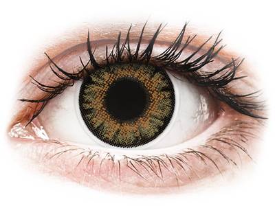 ColourVue One Day TruBlends Rainbow 1 - fără dioptrie (10 lentile) - ColourVue One Day TruBlends Rainbow 1 -  Brown