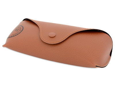 Ochelari de soare Ray-Ban RB4202 - 6069/71  - Original leather case (illustration photo)