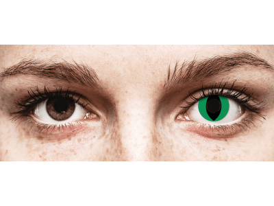 CRAZY LENS - Cat Eye Green - lentile zilnice fără dioptrie (2 lentile)