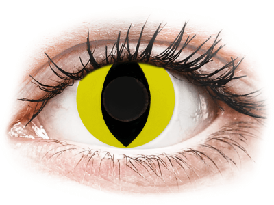 CRAZY LENS - Cat Eye Yellow - lentile zilnice fără dioptrie (2 lentile) - Lentile de contact colorate