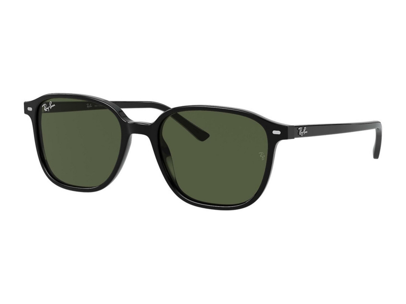 Ray-ban leonard rb2193 901/31