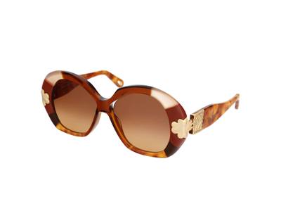 Ochelari de soare Chloe CE743S 245 