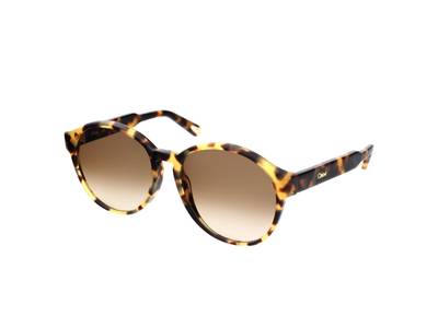 Ochelari de soare Chloe CE762S 218 