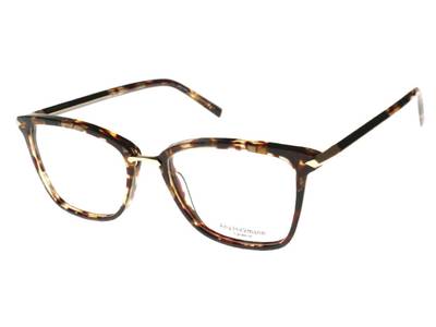 Rame Ana Hickmann AH6350 G21