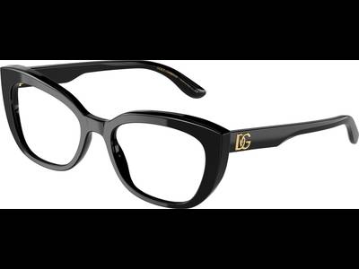 Dolce & Gabbana DG3355 501 