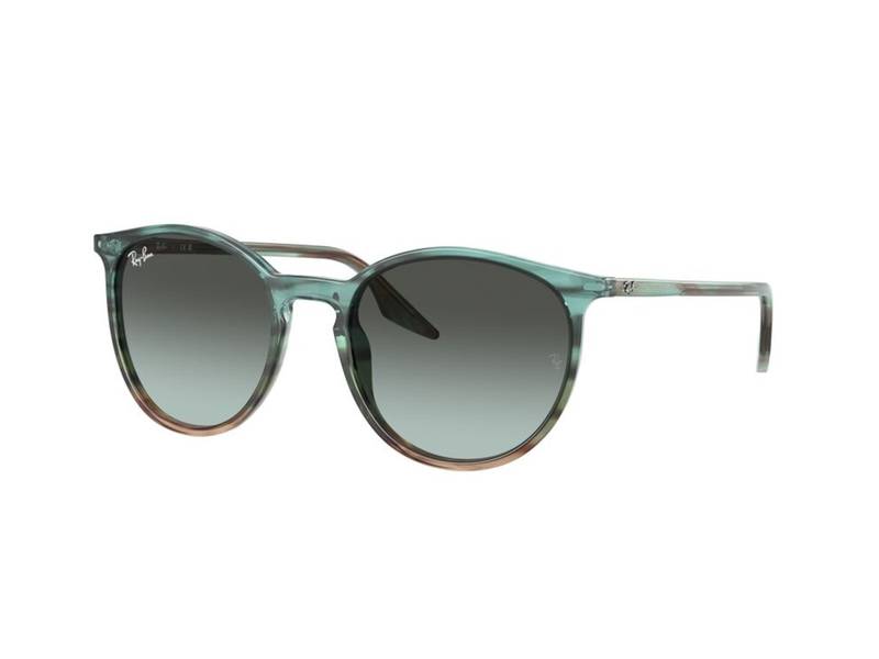 Ochelari de soare Ray-Ban RB2204 1394GK