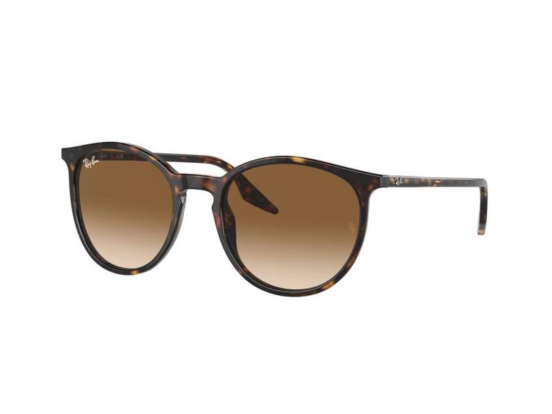 Ochelari de soare Ray-Ban RB2204 902/51