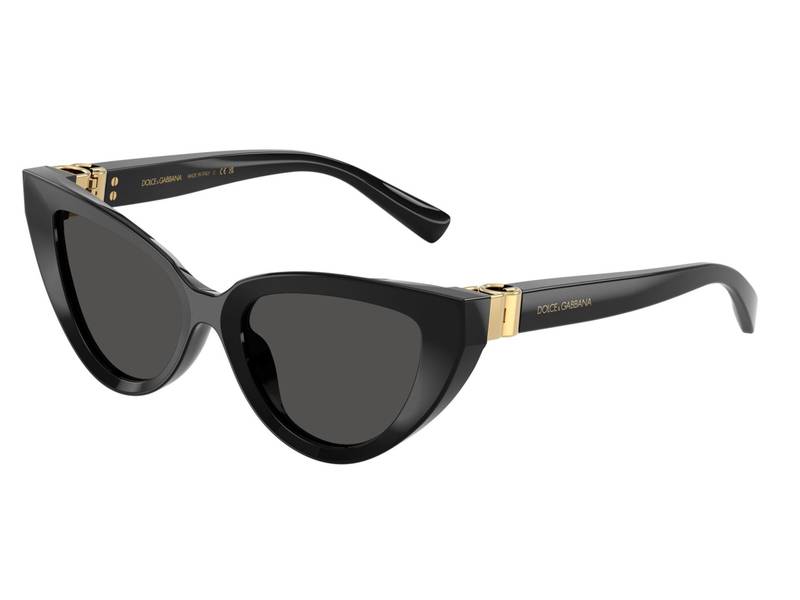 Ochelari de soare Dolce & Gabbana DG4497 ​501/87